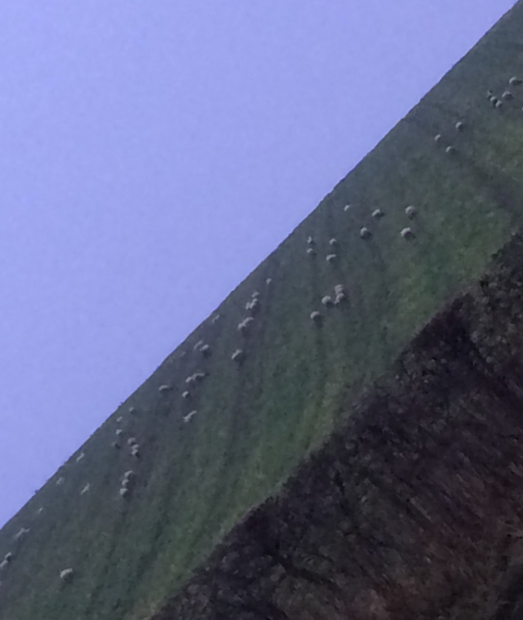 VC :​:​:​:​:​:​:​:​:​:​:​:​:​: